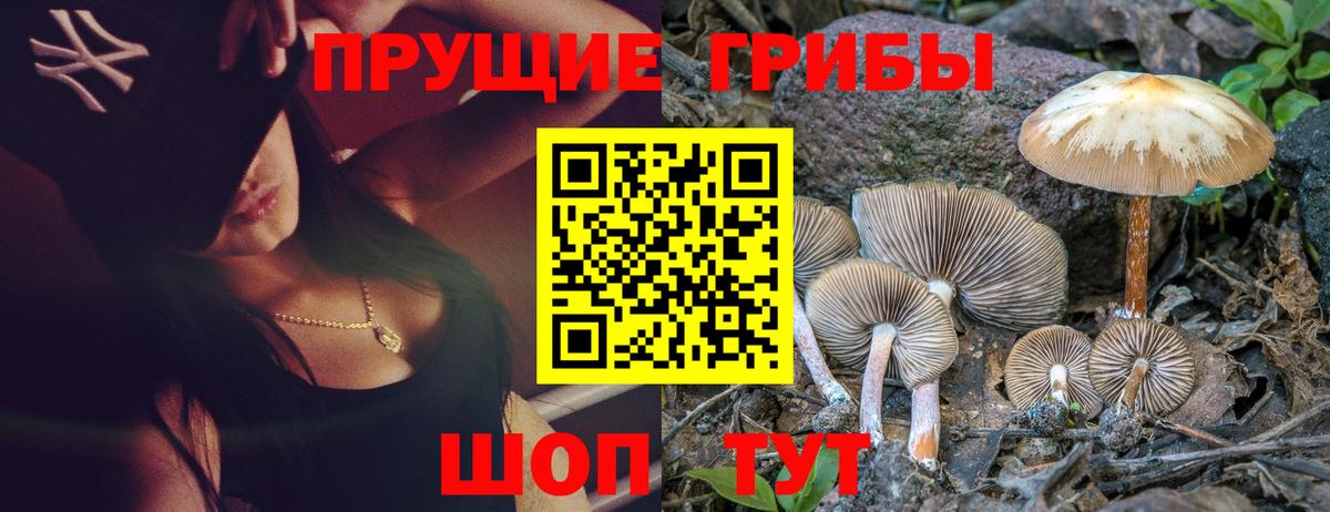 Сокол  Псилоцибиновые грибы мухоморы  Вход с VPN 